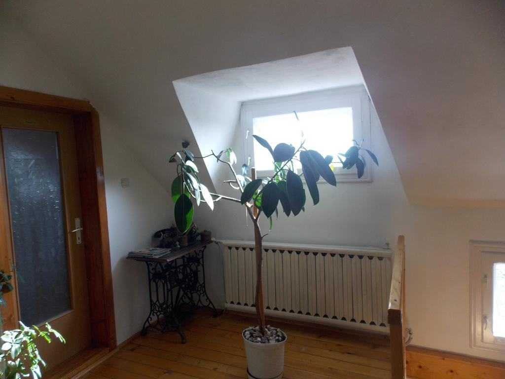 Casa Fortyogo Tîrgu Secuiesc Eksteriør billede